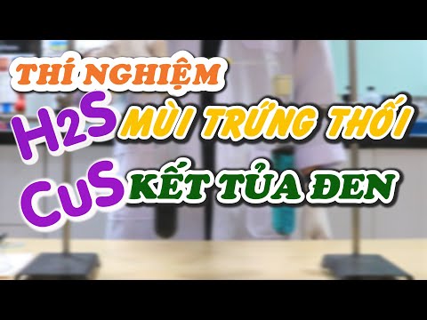 Video Thí nghiệm quá THÚI với khí H2S và kết tủa ĐEN CuS |... - youtube