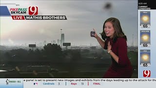Meteorologist Hannah Scholl Gets A Bug Suprise During News 9 This Morning