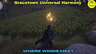 Gracetown Universal Harmony Where Winds Meet