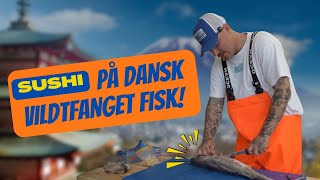 SUSHI på dansk vildtfanget fisk! 