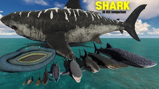 Sharks Size Comparison 3D Animation || The Megalodon in comparison with El Gran Maja Monster ?? by Mr Data 3D Stats 10,907 views 2 weeks ago 5 minutes, 28 seconds