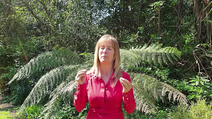 Cool Reasons to Smile - Tara Howard - Founder Venu...
