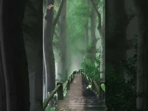 ونسألك اللهم ب كاء الإ جابة