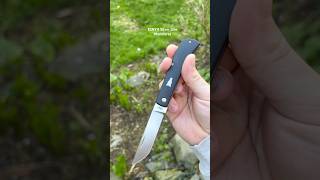 ESNYX Silver Line Workhorse