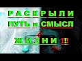 ✔ *АрхиСРОЧНО* «Раскрыли путь и смысл Жизни !»