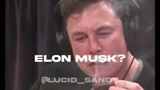 Andrew Tate Sigma Male Edit