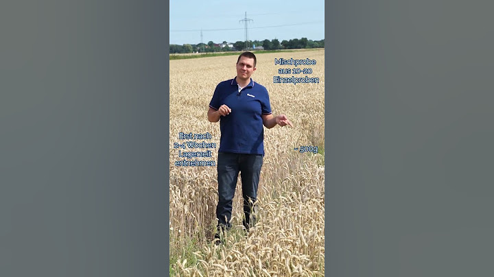 Getreideproben zur Analyse ziehen 🌾
