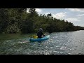 Kayaking in Bonita Springs, Fl