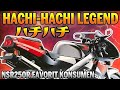 Hachi yang Bukan Sebatang Kara | Honda NSR250R MC18