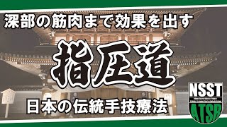 深層筋にも届く持続圧　手ゆびを用いる最も身近な手技療法を正しく学ぶ【3principle  of shiatsu：namikoshi shiatsu method】