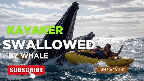 Real-Life Jonah?Kayaker Briefly Trapped Inside Whale's Mouth and Lives to Tell the Tale#worldmadness