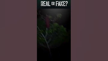 Pontianak: The Female Vampiric Ghost #shorts #ghost #pontianak