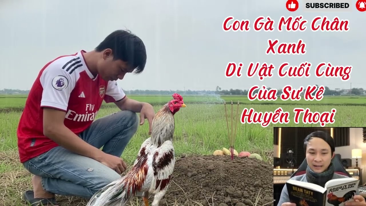 Truyện gà chọi full hay 2026:  Truyền kì Con Gà Mốc Chân Xanh – Di Vật Cuối Cùng Của lão Sư Kê già