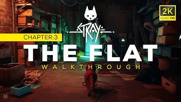 The Flat: Code to Open the Door: Gameplay Walkthrough | STRAY