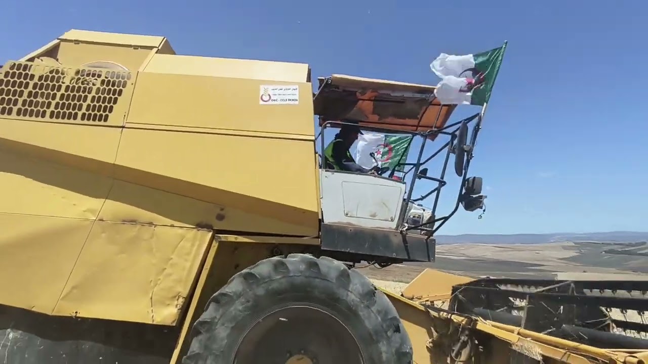 إنطلاق عملية الحصاد والدرس من ولاية سكيكدة