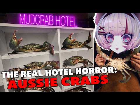 Average Australian Hotel? | I Did a Thing | I Farmed Crabs In My Garage. Was It Worth It? | vtuber