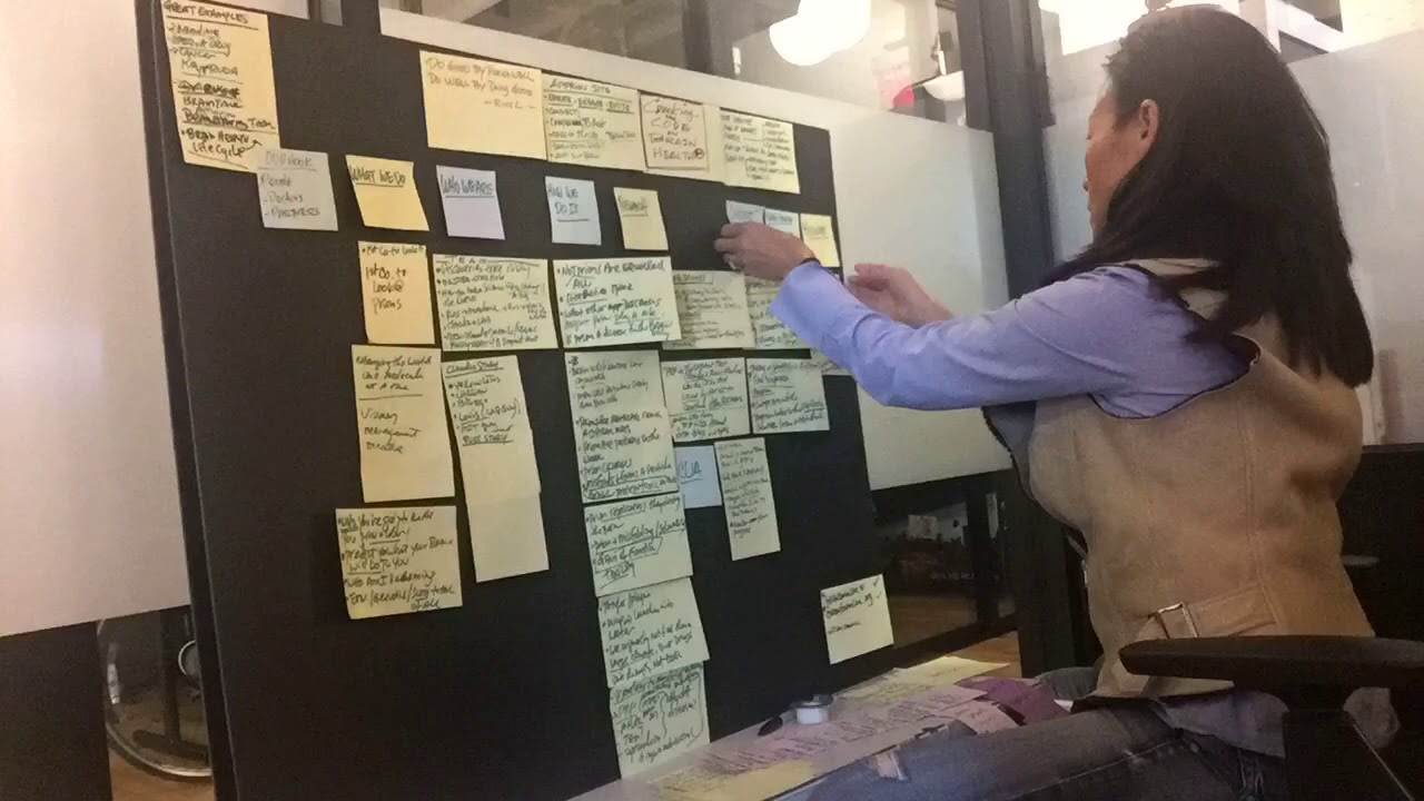 Chapter 2: Jungle Board Brain Work