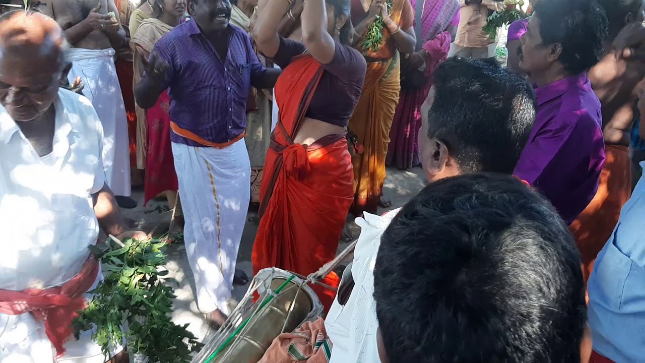 Pambai udukai govindhansamy arapedu