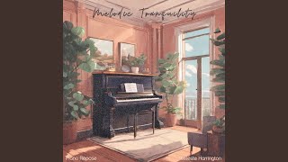 Piano Harmony for Study