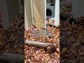 Never ask nephew to rake the leaves