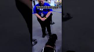 Guide Dog - Public Interaction - USS Midway
