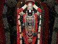 🪷Tirupati thimmappa 🪷|sujatha dombe|#tirupatithimmappa#god#goodmorning#govinda🛕