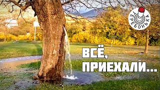 Приехали... На Али экспрессе теперь можно заказать ЭТО...!