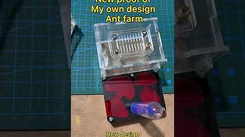 Proof my p1 ant farm part 1