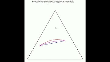 Exponential, mixture and Fisher-Rao geodesics in the probability simplex
