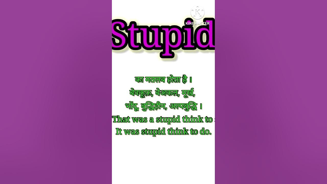 stupid-ka-matlab-kya-hai-youtubeshorts-youtube