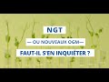 Ngt ou nouveaux ogm comme les qualifient le lobby du bio  ontils raison de sinquiter 