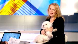 Hotel Przyjazny Rodzinie - Rozmowa Z Violettą Hamerską W Polsat News, 03.08.2016