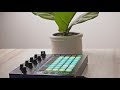 Stasis - Vaporwave Jam on the Novation Circuit