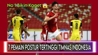 Pemain Tertinggi Timnas Indonesia