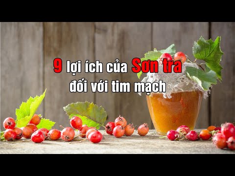 Video: Sơn Tra. Quả Của Nó Hữu ích Như Thế Nào?