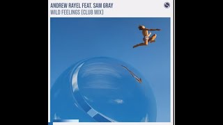Andrew Rayel ft. Sam Gray -  Wild Feelings( Extended Club Mix)