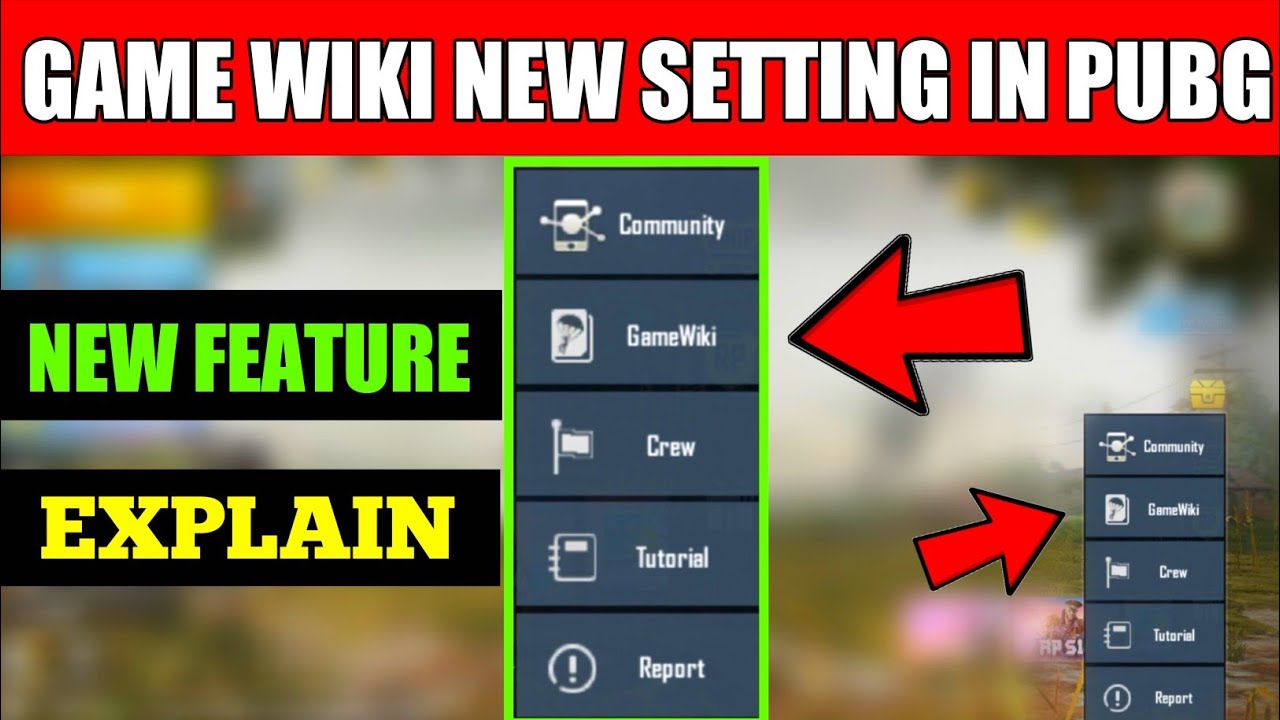 Pubg Mobile Game Wiki New Setting Feature Full Details Youtube