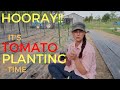 Planting Our FAVORITE Garden Veggie...TOMATOES!!!!