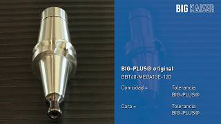 Celebrity BIG-PLUS® Original Profile