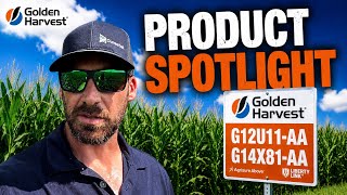 Product spotlight G12U11-AA and G14X81-AA upcoming Yield Leaderboard