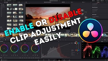 How to Enable or Disable Clip Adjustment in DaVinci Resolve 2025?