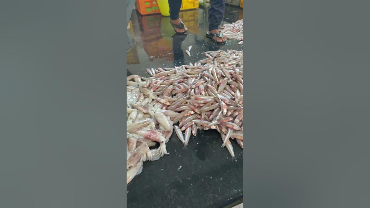 Chennai Fish Market In Vanagaram Part 1 shorts YouTube chennai-fish-market-in-vanagaram-part-1-shorts-youtube