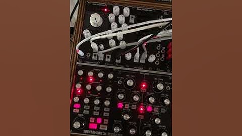 Early morning Vibes with Moog Subharmonicon and Mutable Instruments Beads