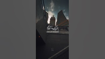 ويزيد الله الذين اهتدوا هدى | القارئ عبدالرحمن مسعد