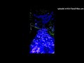 glokk40spaz srx dancetrax type beat