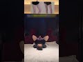 Do These 4 Leg Exercises Daily and Watch Your Legs Transform Fast