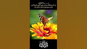 #آيات #ايات #ايات_قرانية #ايات_قرانيه_قصيره #يوم_الجمعة