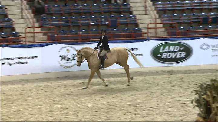 24 DALLAS   Monica Rauschenbach   Amateur Owner Hu...