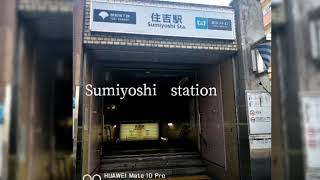 Sarue Shrine In Tokyo - Minkys Japan Introdaction