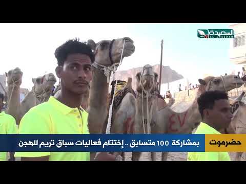 سباق الهجن تختتم فعالياتها بمشاركة 100 متسابق بتريم حضرموت